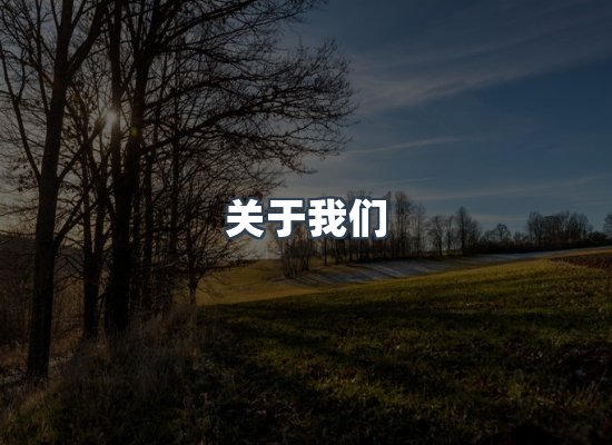 专业团队
