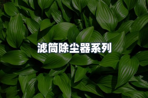 脉冲布袋除尘器